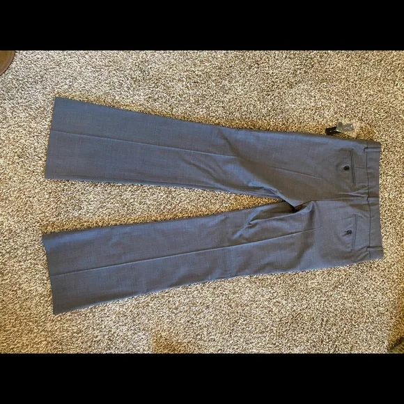 NWT theory Grey pants